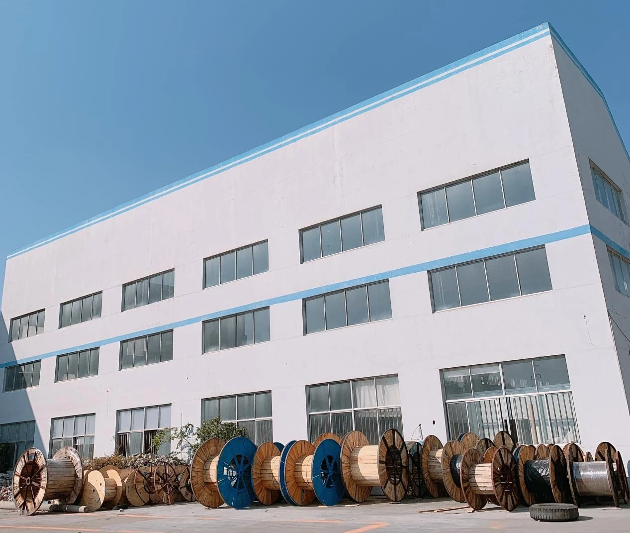 Shanghai Yuqing International Trade Co., Ltd.